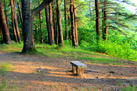 Maudslay Bench