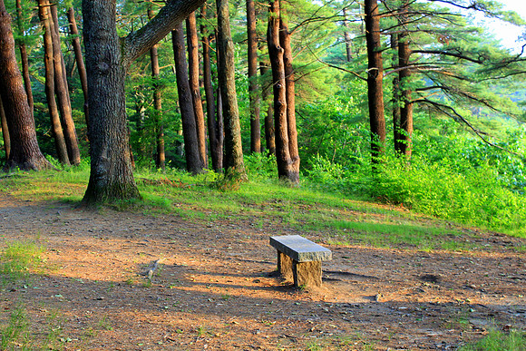 Maudslay Bench