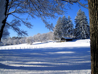 Winter Morning at Maudslay