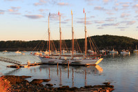 Margaret Tood in the Morning