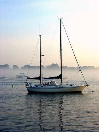 Foggy Morning