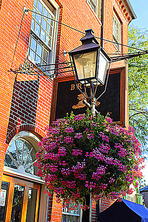 Brass Lyon Lantern