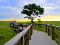 'Early Morning Path' - Plum Island