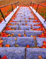 Fall Steps (Bartlet Mall - Newburyport, MA)