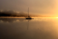 Solitude