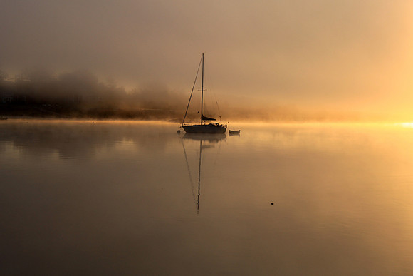 Solitude