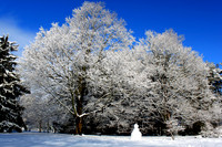 'Little Snowman' - Atkinson Common - Newburyport, MA