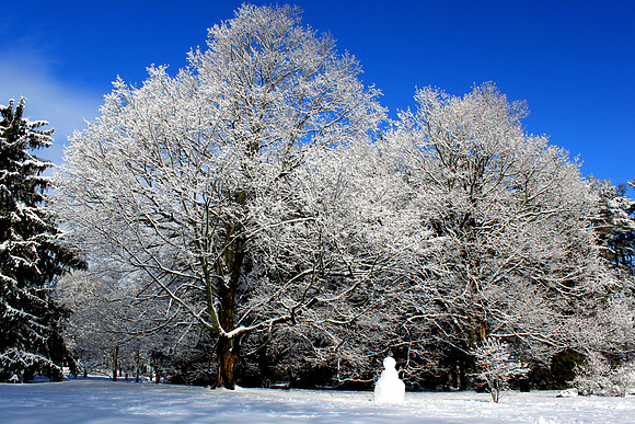 'Little Snowman' - Atkinson Common - Newburyport, MA