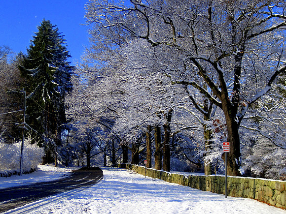 'First Snow' (Horizontal) - Maudslay State Park - Newburyport, MA