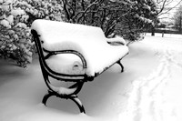 'Winter Bench' - Atkinson Common - Newburyport, MA