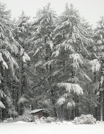 Moseley Snow - Moseley Park - Newburyport, MA