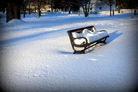 'Blanket of Snow' - Atkinson Common - Newburyport, MA